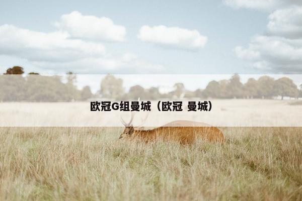 欧冠G组曼城（欧冠 曼城）