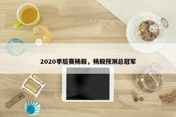 2020季后赛杨毅，杨毅预测总冠军