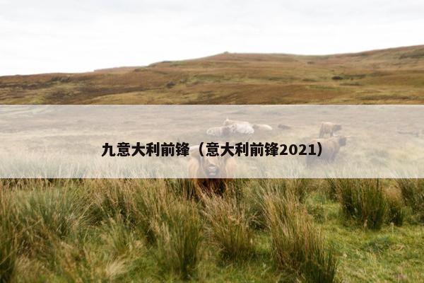 九意大利前锋（意大利前锋2021）