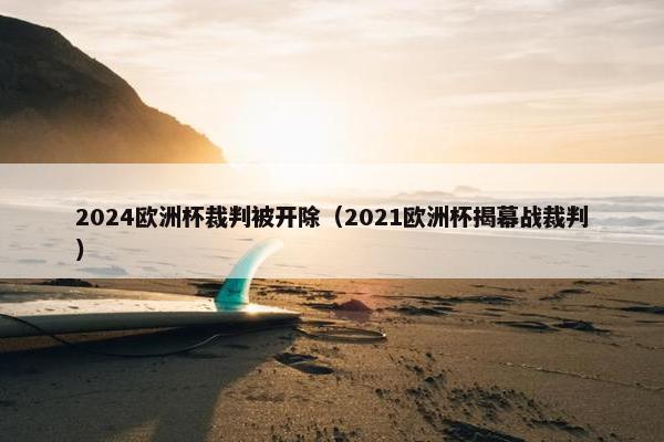 2024欧洲杯裁判被开除（2021欧洲杯揭幕战裁判）