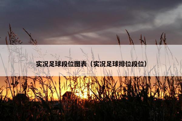 实况足球段位图表（实况足球排位段位）