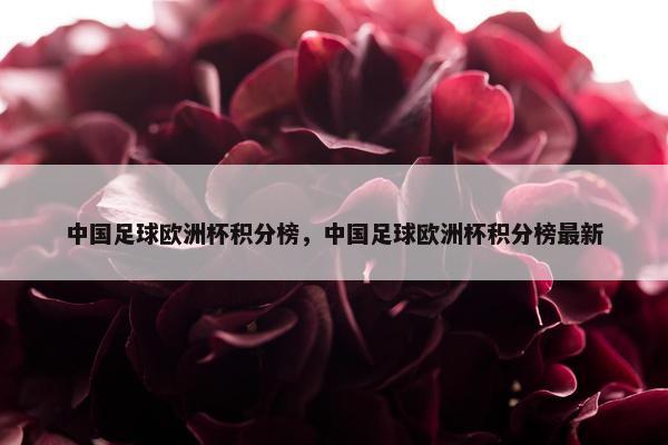 中国足球欧洲杯积分榜，中国足球欧洲杯积分榜最新