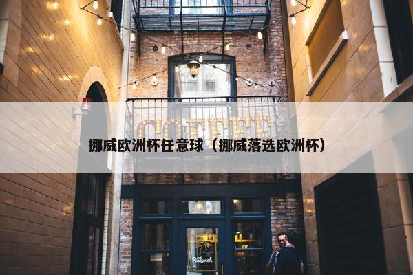 挪威欧洲杯任意球（挪威落选欧洲杯）