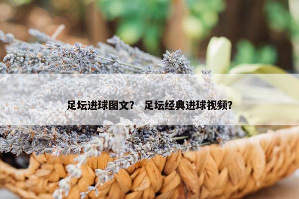 足坛进球图文？ 足坛经典进球视频？