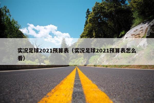 实况足球2021预算表（实况足球2021预算表怎么看）