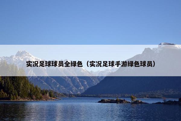 实况足球球员全绿色（实况足球手游绿色球员）