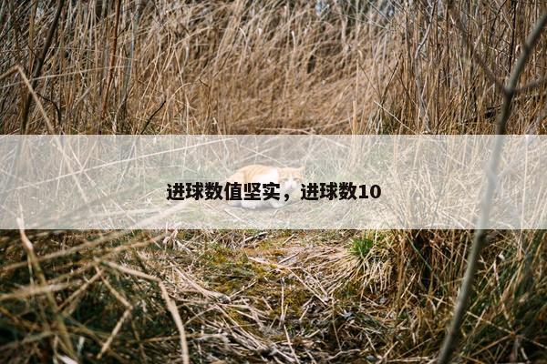 进球数值坚实，进球数10