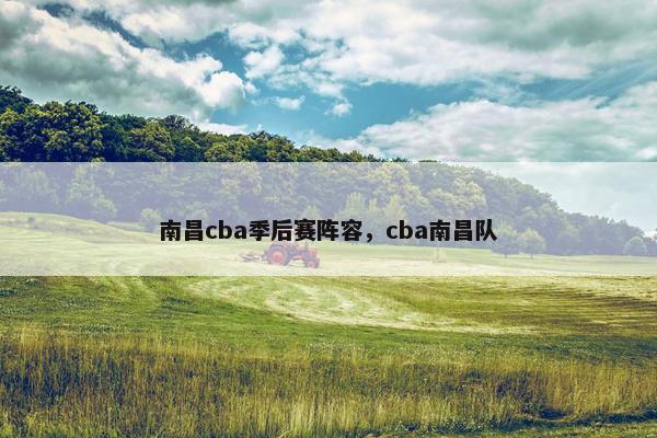 南昌cba季后赛阵容，cba南昌队