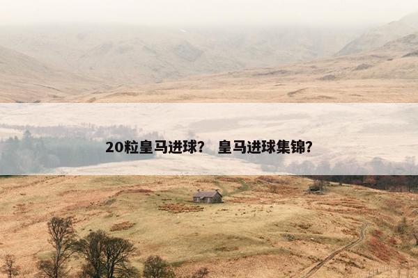 20粒皇马进球？ 皇马进球集锦？