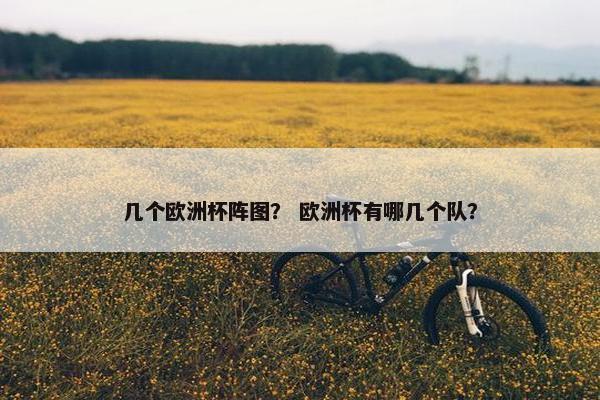 几个欧洲杯阵图？ 欧洲杯有哪几个队？
