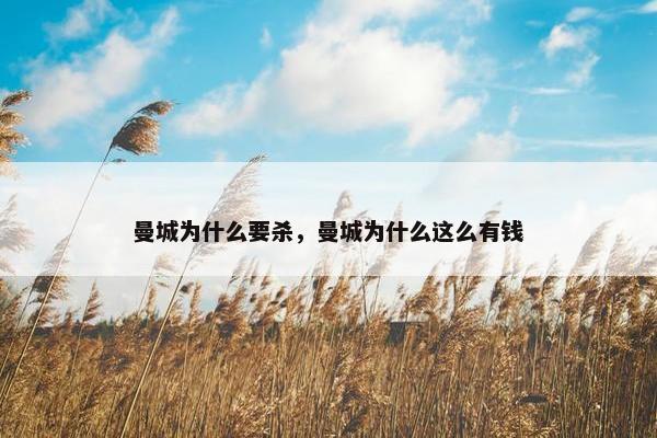 曼城为什么要杀，曼城为什么这么有钱