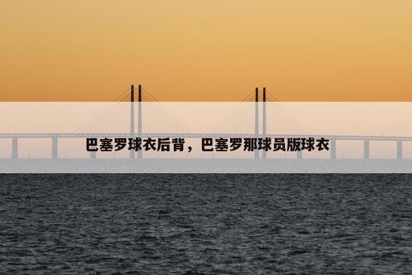 巴塞罗球衣后背，巴塞罗那球员版球衣