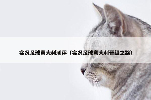实况足球意大利测评（实况足球意大利晋级之路）