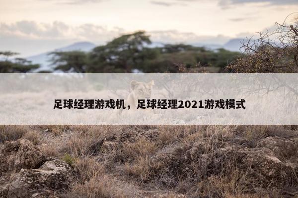 足球经理游戏机，足球经理2021游戏模式