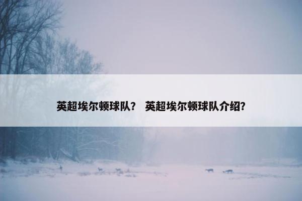 英超埃尔顿球队？ 英超埃尔顿球队介绍？