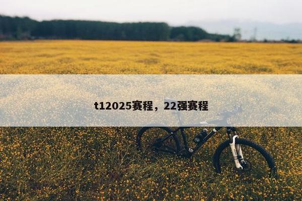 t12025赛程，22强赛程