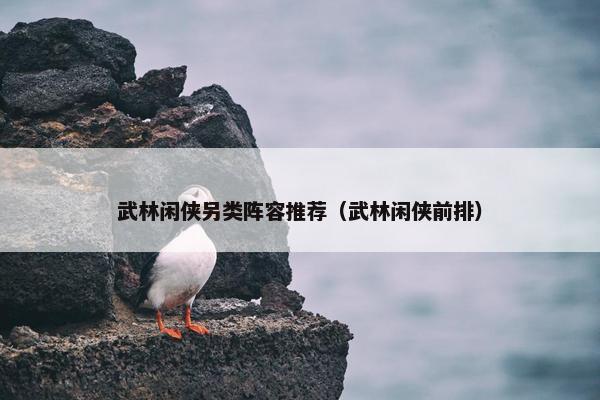 武林闲侠另类阵容推荐（武林闲侠前排）