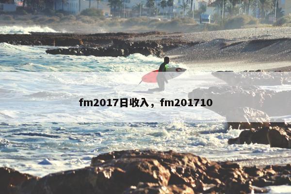 fm2017日收入，fm201710