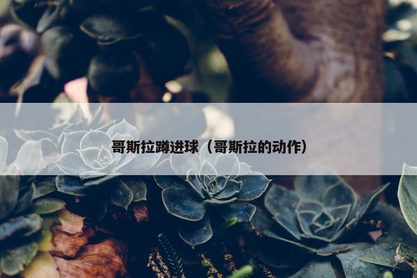 哥斯拉蹲进球（哥斯拉的动作）