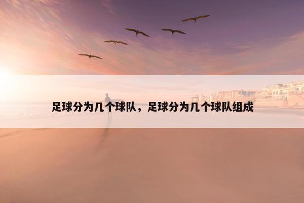 足球分为几个球队，足球分为几个球队组成