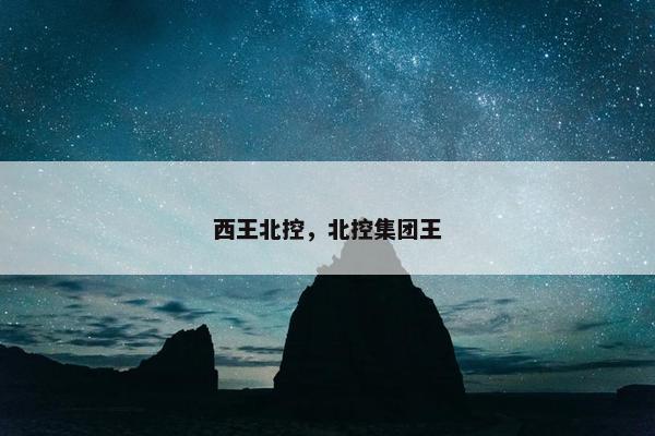 西王北控，北控集团王