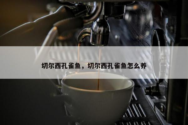 切尔西孔雀鱼，切尔西孔雀鱼怎么养