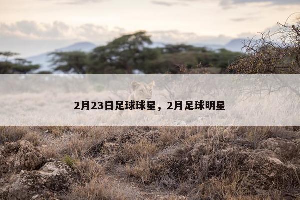 2月23日足球球星，2月足球明星