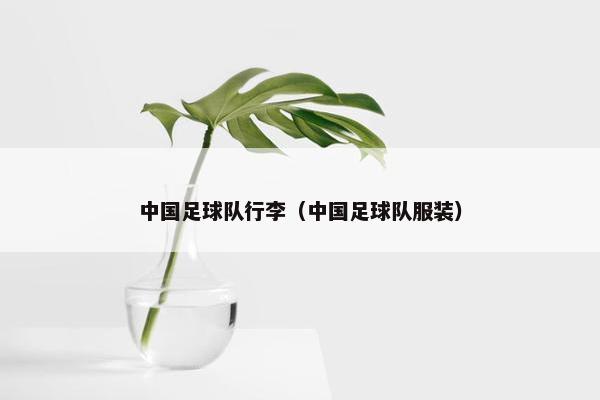 中国足球队行李（中国足球队服装）