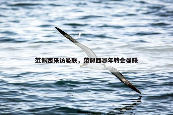 范佩西采访曼联，范佩西哪年转会曼联