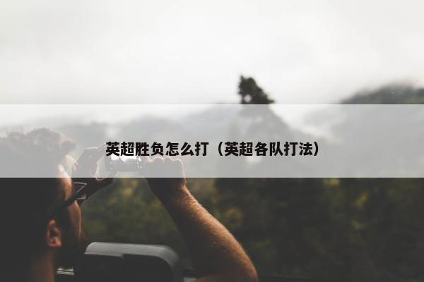 英超胜负怎么打（英超各队打法）