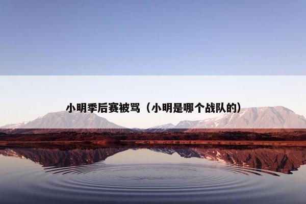 小明季后赛被骂（小明是哪个战队的）