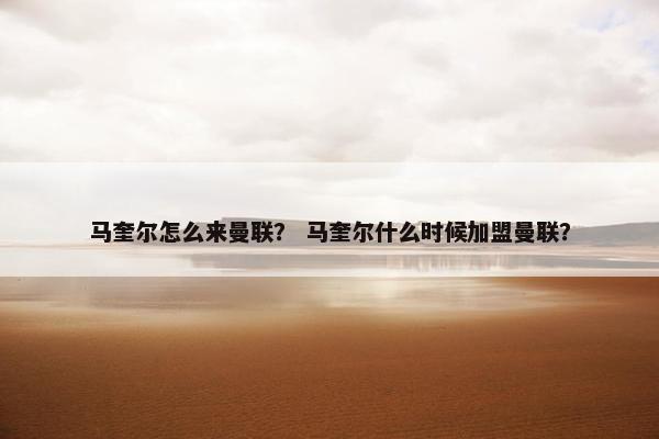 马奎尔怎么来曼联？ 马奎尔什么时候加盟曼联？