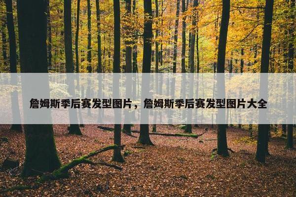 詹姆斯季后赛发型图片，詹姆斯季后赛发型图片大全