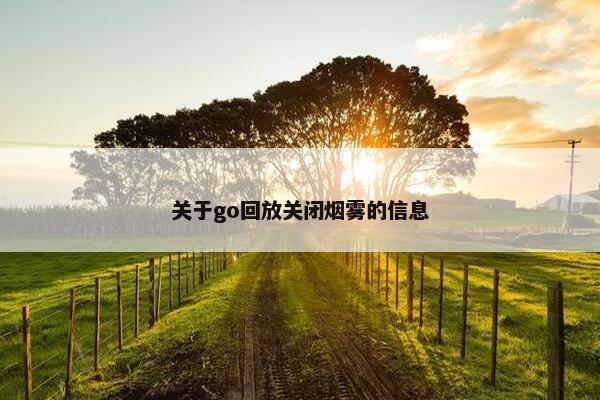 关于go回放关闭烟雾的信息