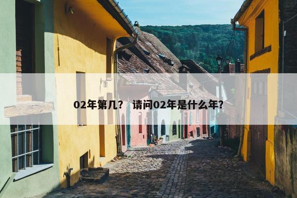 02年第几？ 请问02年是什么年？
