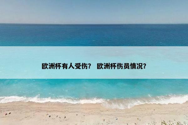 欧洲杯有人受伤？ 欧洲杯伤员情况？