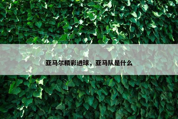 亚马尔精彩进球，亚马队是什么