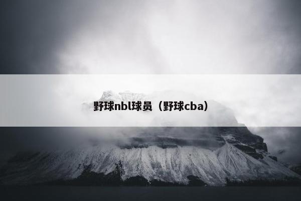 野球nbl球员（野球cba）