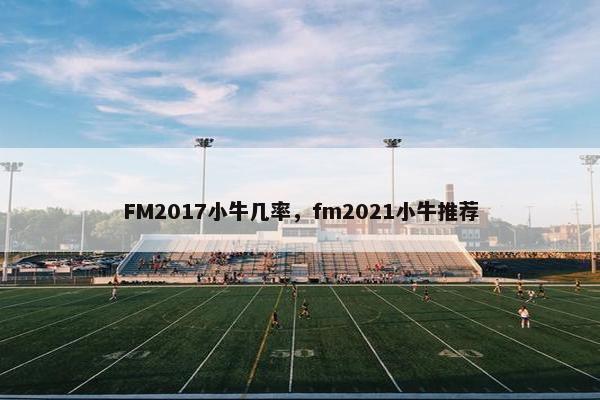 FM2017小牛几率，fm2021小牛推荐