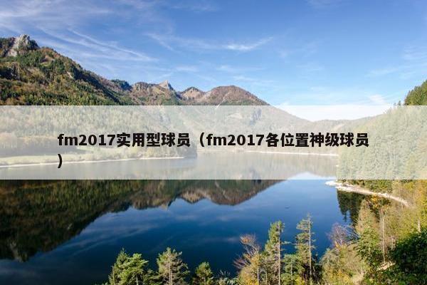 fm2017实用型球员（fm2017各位置神级球员）