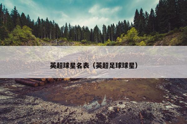 英超球星名表（英超足球球星）