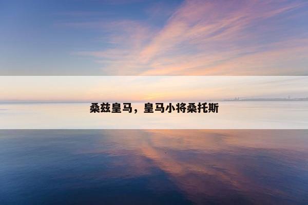 桑兹皇马，皇马小将桑托斯