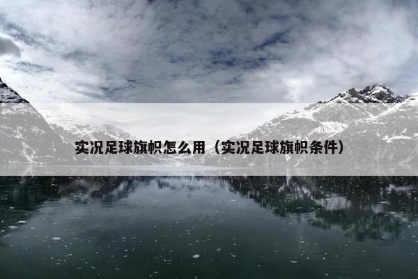 实况足球旗帜怎么用（实况足球旗帜条件）