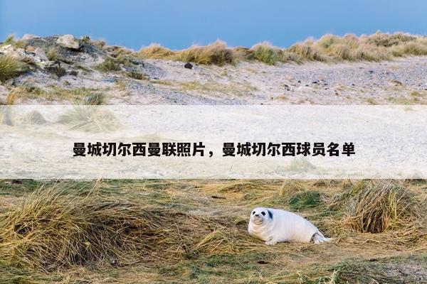曼城切尔西曼联照片，曼城切尔西球员名单