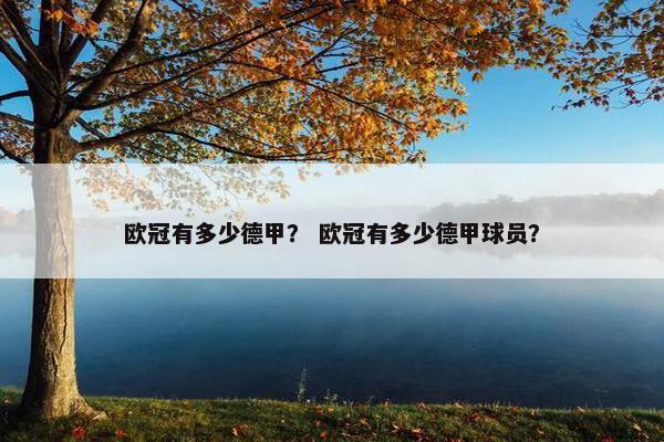 欧冠有多少德甲？ 欧冠有多少德甲球员？