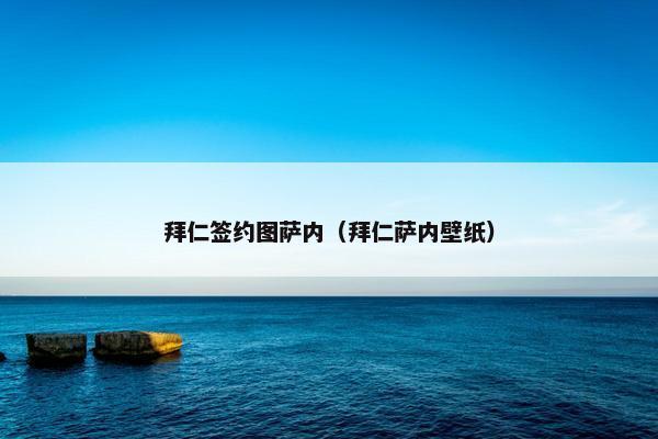 拜仁签约图萨内（拜仁萨内壁纸）