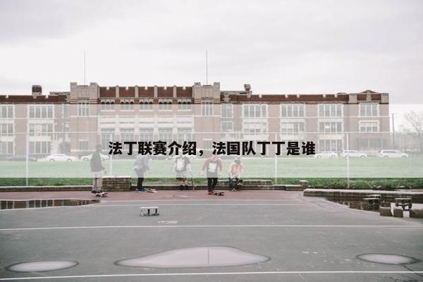 法丁联赛介绍，法国队丁丁是谁