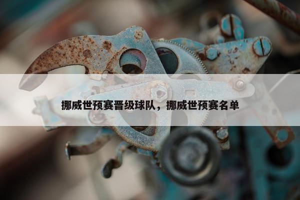 挪威世预赛晋级球队，挪威世预赛名单