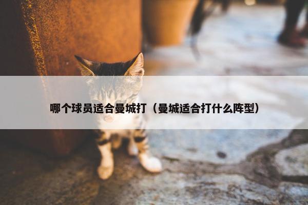 哪个球员适合曼城打（曼城适合打什么阵型）