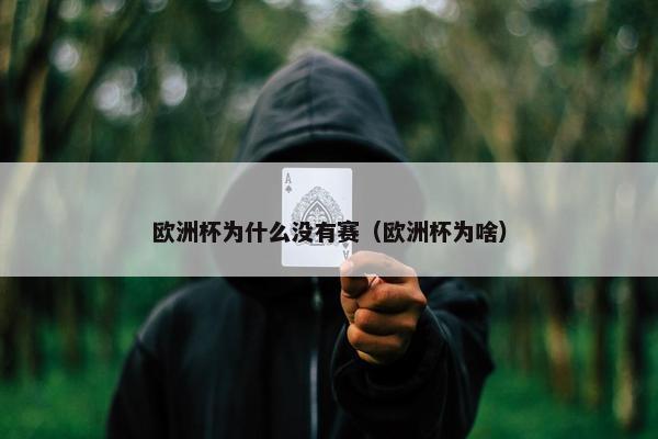 欧洲杯为什么没有赛（欧洲杯为啥）
